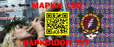 сатива Славгород