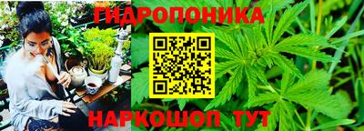 твердый Славянск-на-Кубани