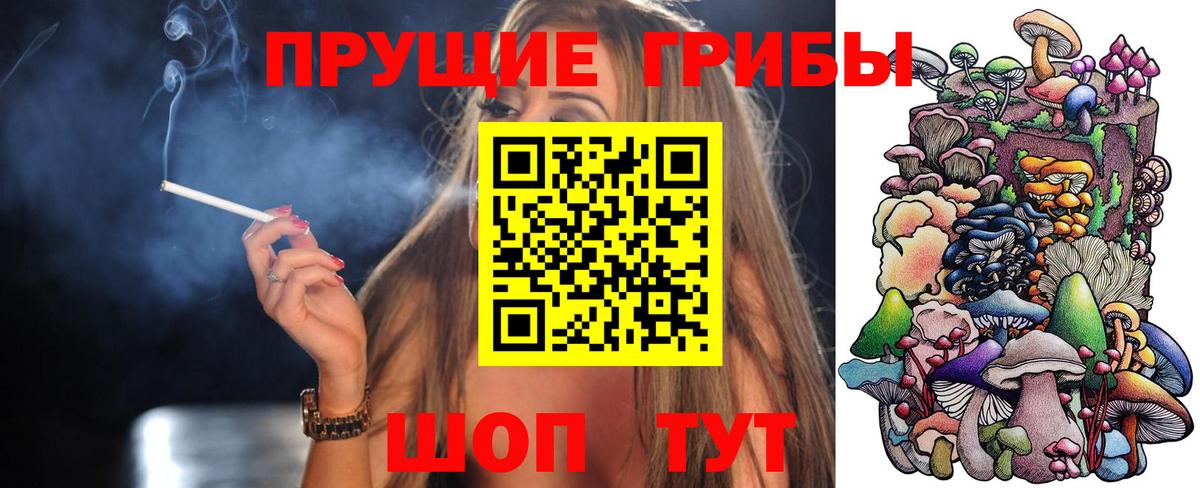 Псилоцибиновые грибы ЛСД Тайшет