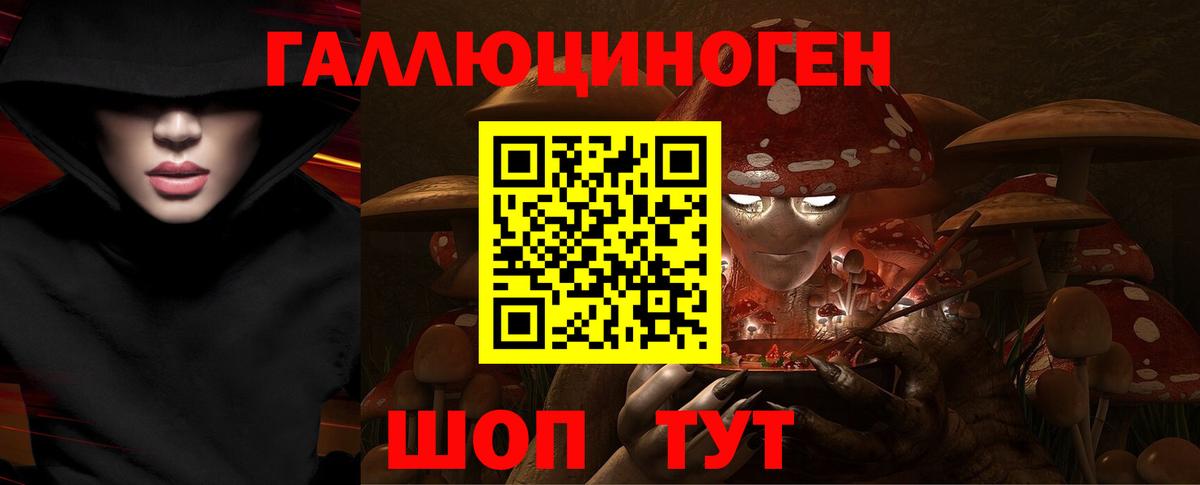 Псилоцибиновые грибы Psilocybe  дарнет шоп  Галлюциногенные грибы GOLDEN TEACHER  Тайшет  Вход с VPN 